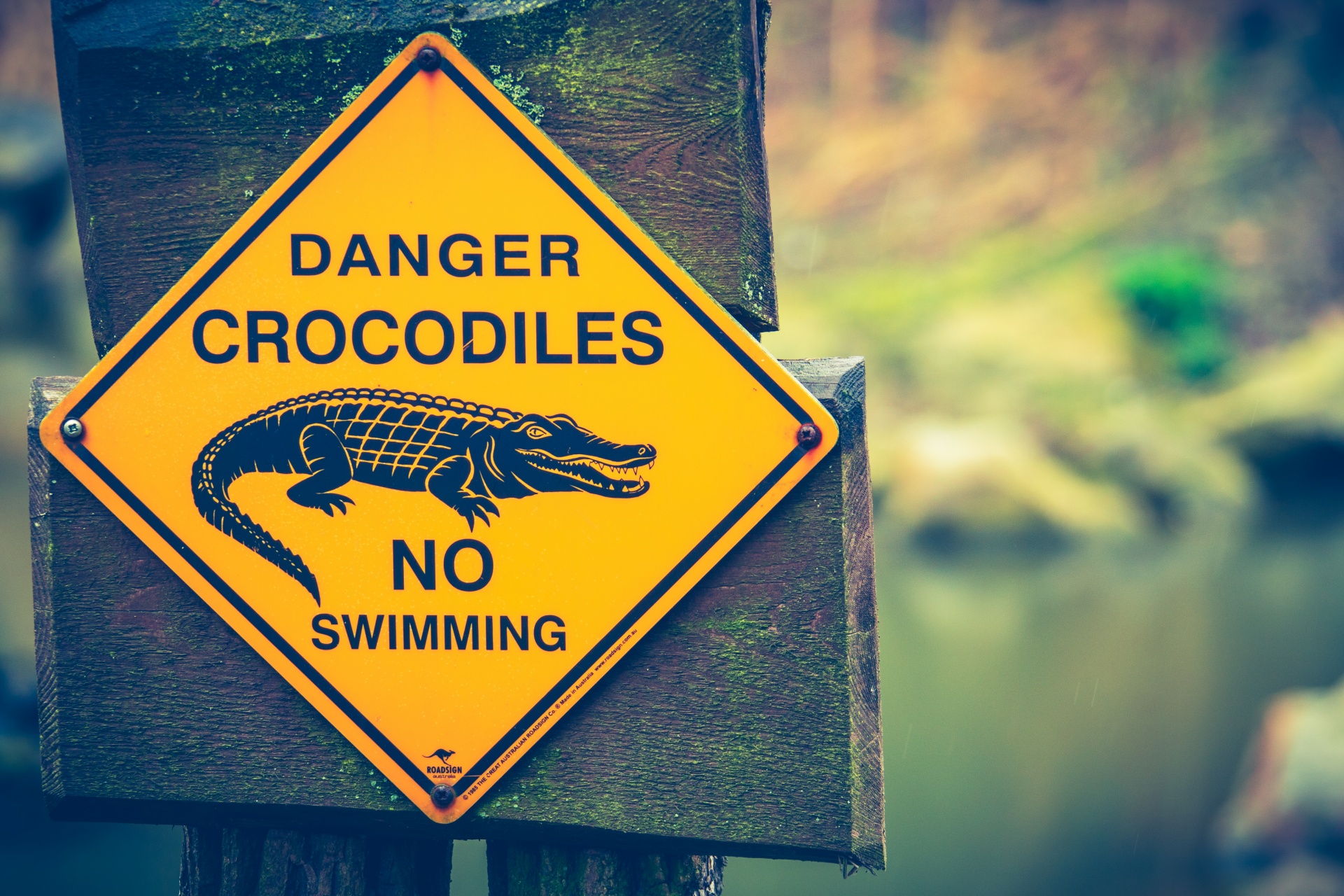 Alligator sign board