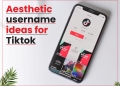 500+ Aesthetic Username Ideas for Tiktok & Instagram: The Ultimate List
