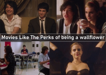 Movies Like the perks of being a wallflower