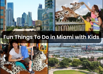 fun things to do in Miami with kids