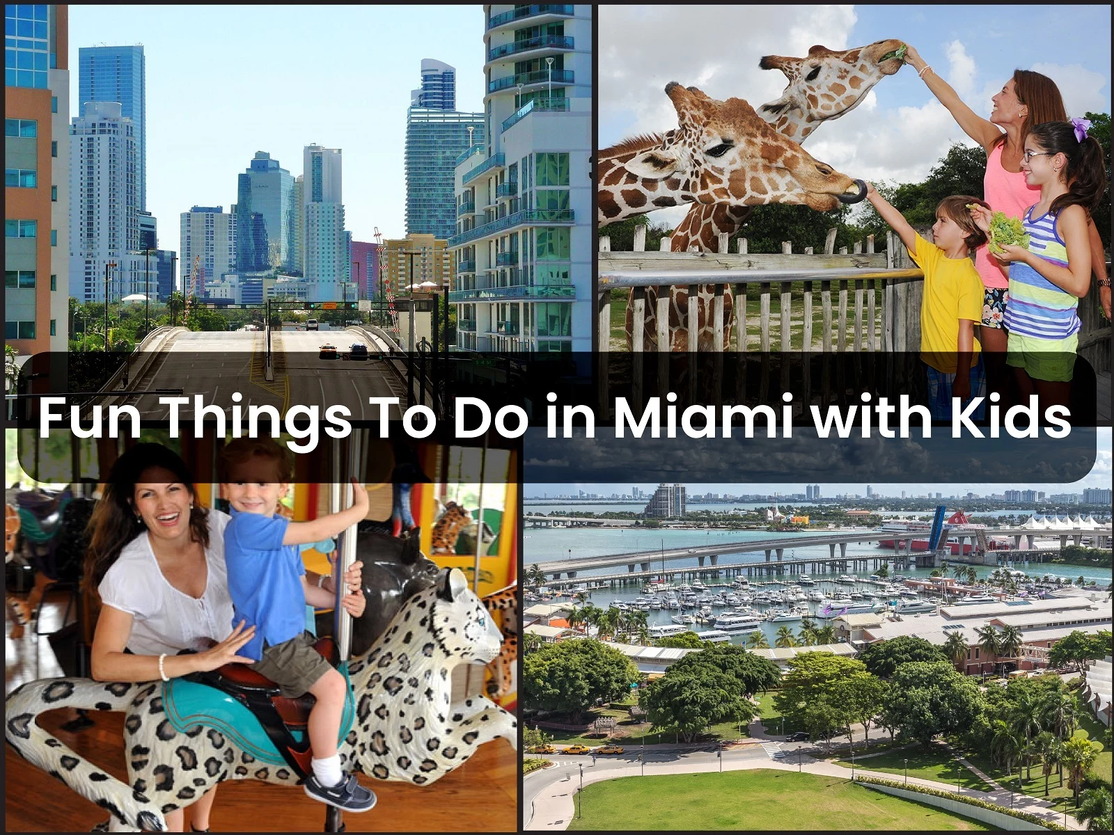 fun things to do in Miami with kids