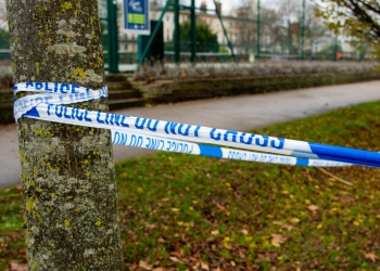 Haiti on the brim of collapse: A politician shot dead