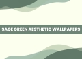 Sage Green Aesthetic Wallpapers