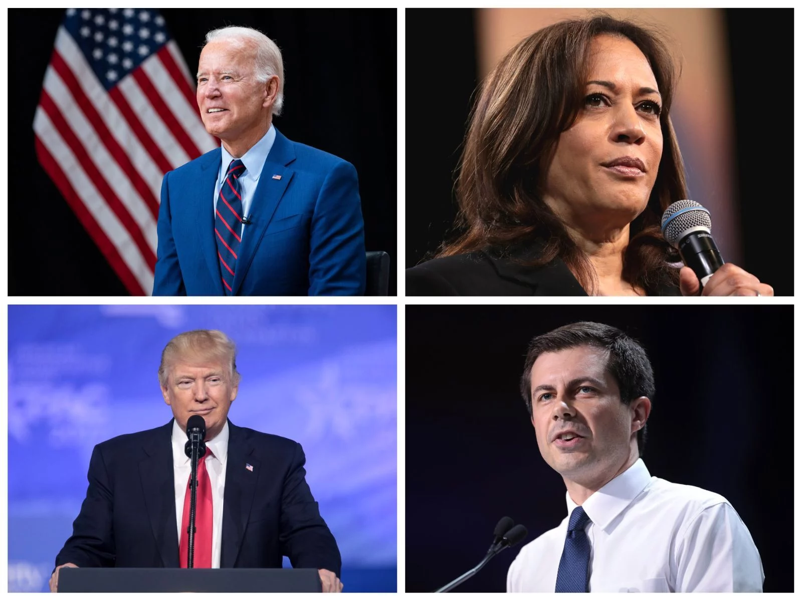 Who will run for president in 2024?