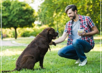 a man petting a dog