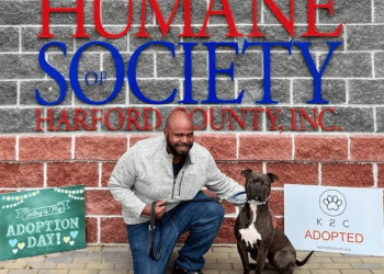 Second Chances: The Redemption of Sheltered Dogs with Kennel to Couch