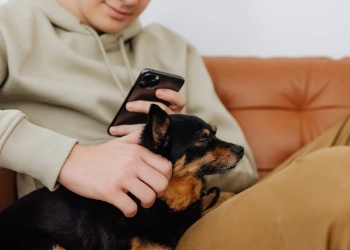 Managing Pet Loss Grief While Continuing Your Work Life